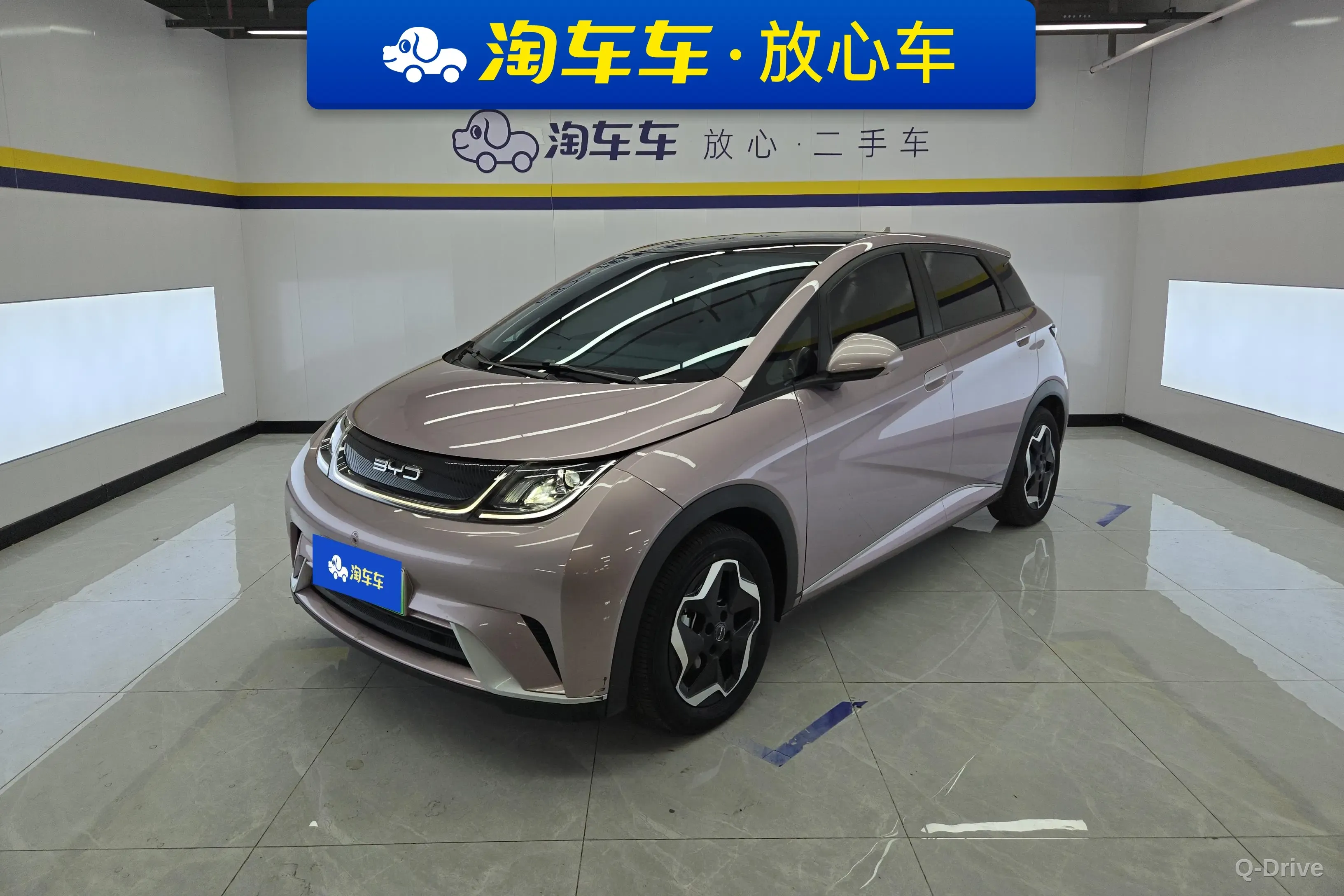 BYD Dolphin 2023 Fashion