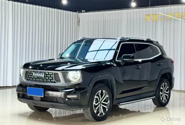 Haval Big Dog 2023 2.0T Plus фото 1