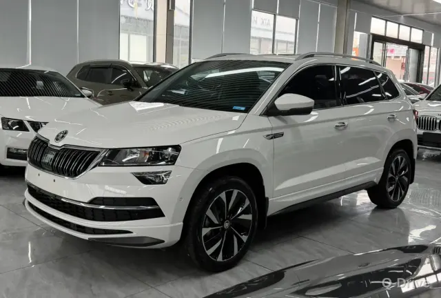 Skoda Karoq 2022 TSI280 фото 1