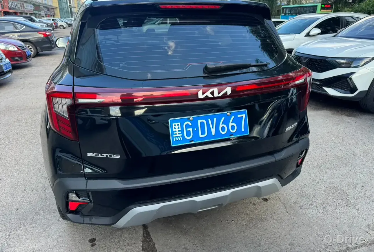 Kia Seltos 2023 1.5L IVT Luxury фото 5