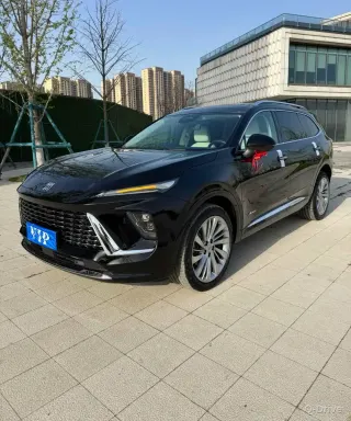photo-1